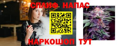 ешки Гагарин
