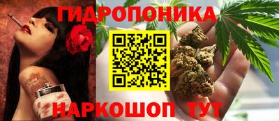 ешки Гагарин